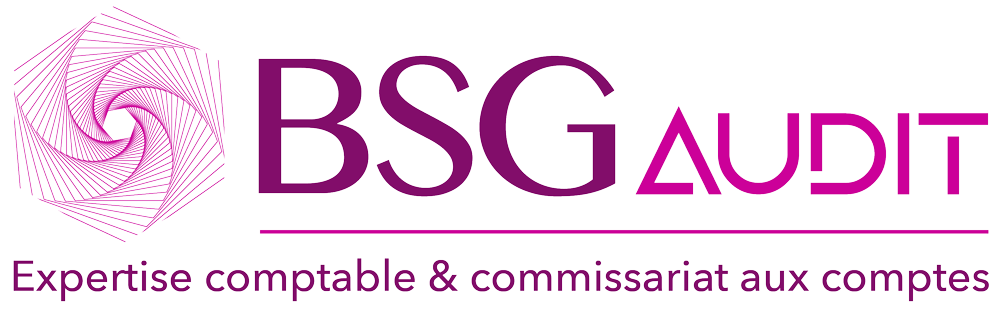 BSG Audit